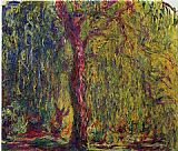 Weeping Willow 4